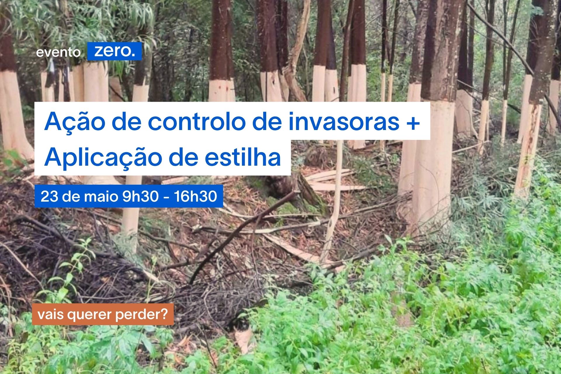 Ação de controlo de invasoras + aplicação de estilha: 23 de maio | Mata Nacional de Leiria