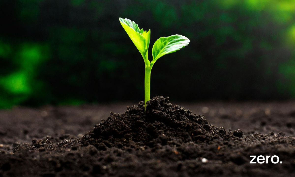 Proteger o programa LIFE | Não deixe a ação pela natureza perder a força