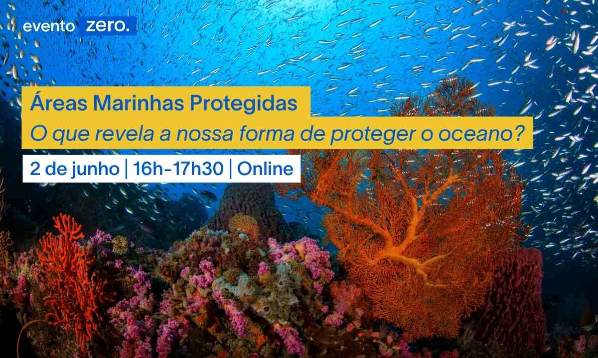Áreas Marinhas Protegidas: o que revela a nossa forma de proteger o oceano?