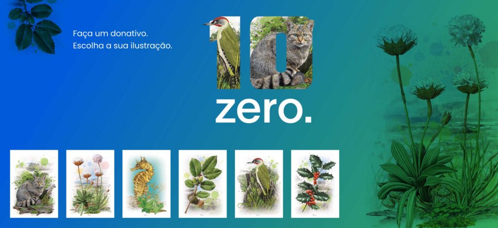 Giving Day ZERO | Um Contributo para o Planeta