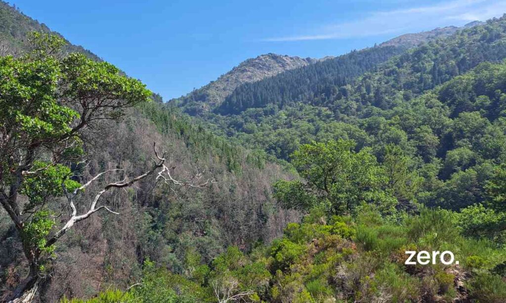Volta a Portugal 2026: ZERO exige clarificação sobre etapa da prova que passa em zona crítica do Parque Nacional da Peneda-Gerês