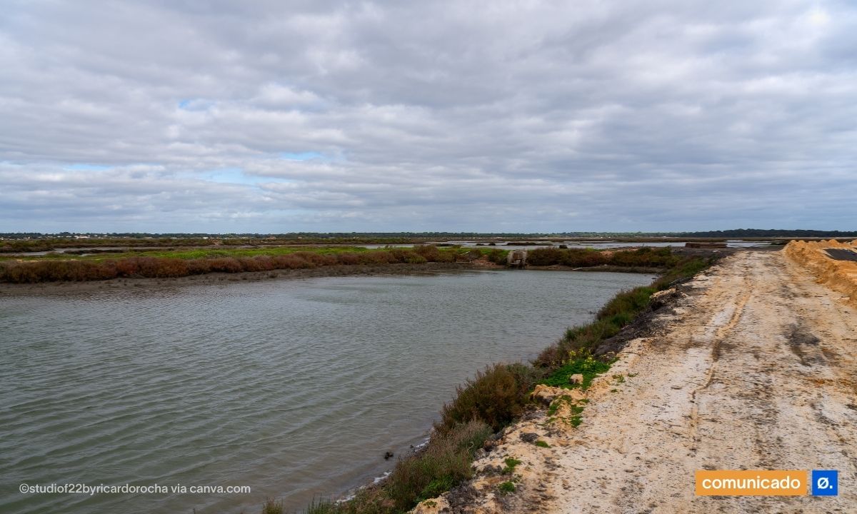 Estado rios e aquíferos em Portugal está a piorar