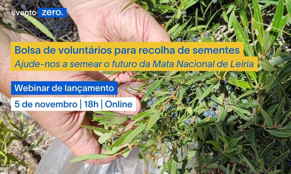 Webinar | Bolsa de voluntários para recolha de sementes