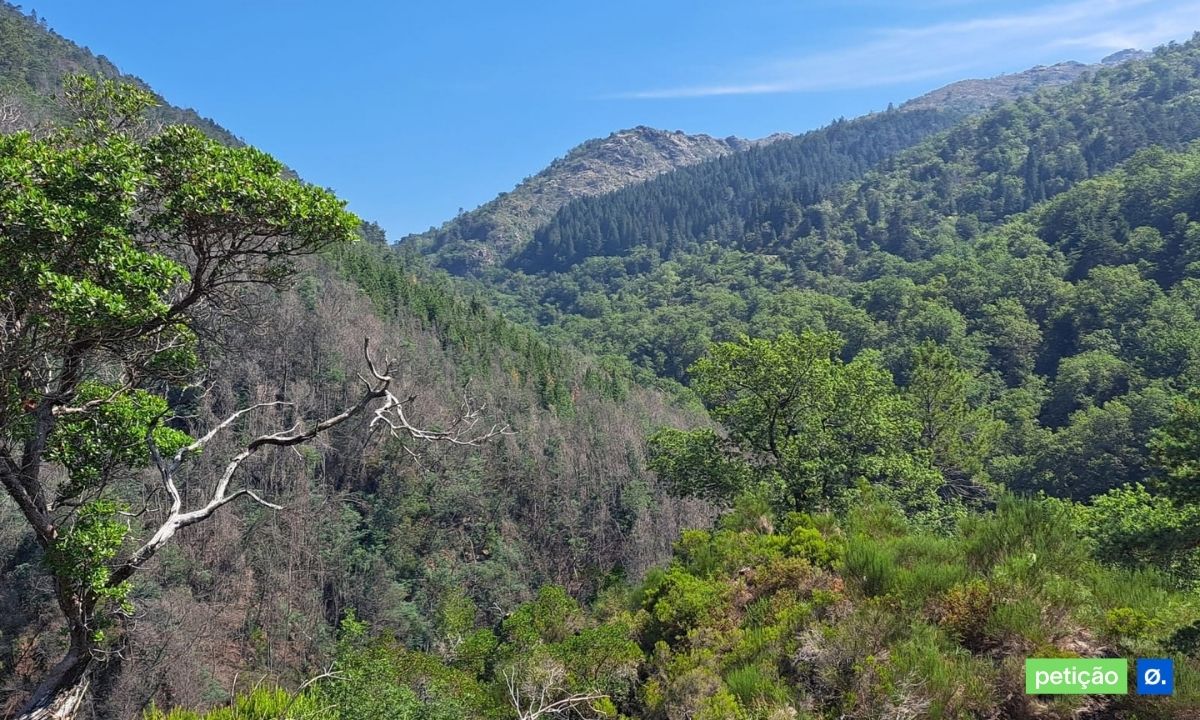 Ajude a proteger o Parque Nacional da Peneda-Gerês
