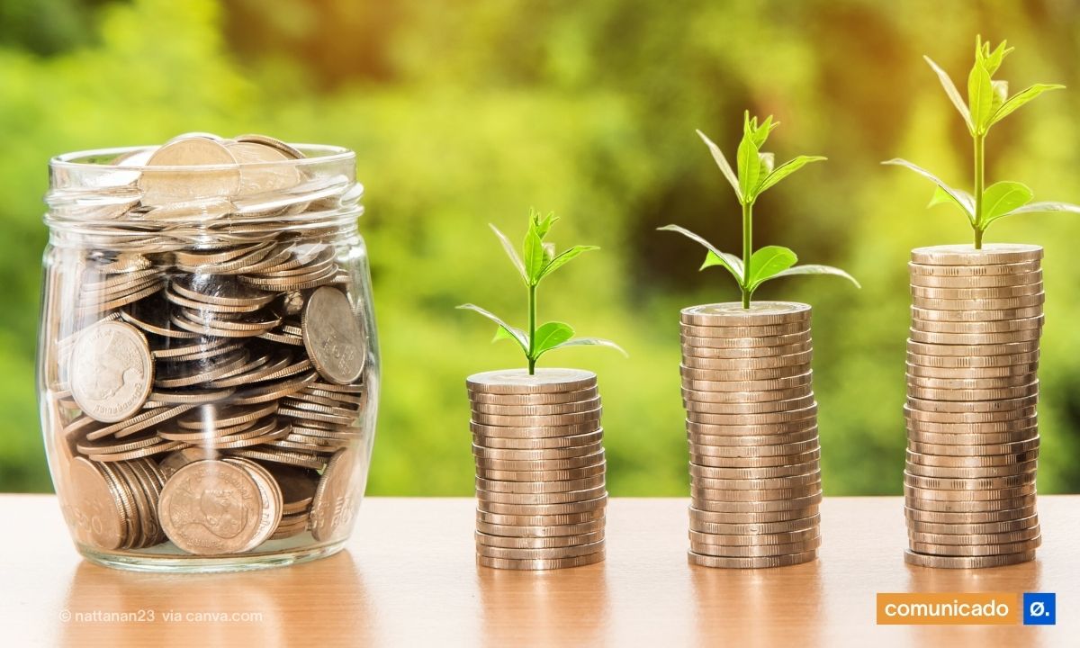 pote de vidro com moedas e montinhos de moedas com planta a nascer